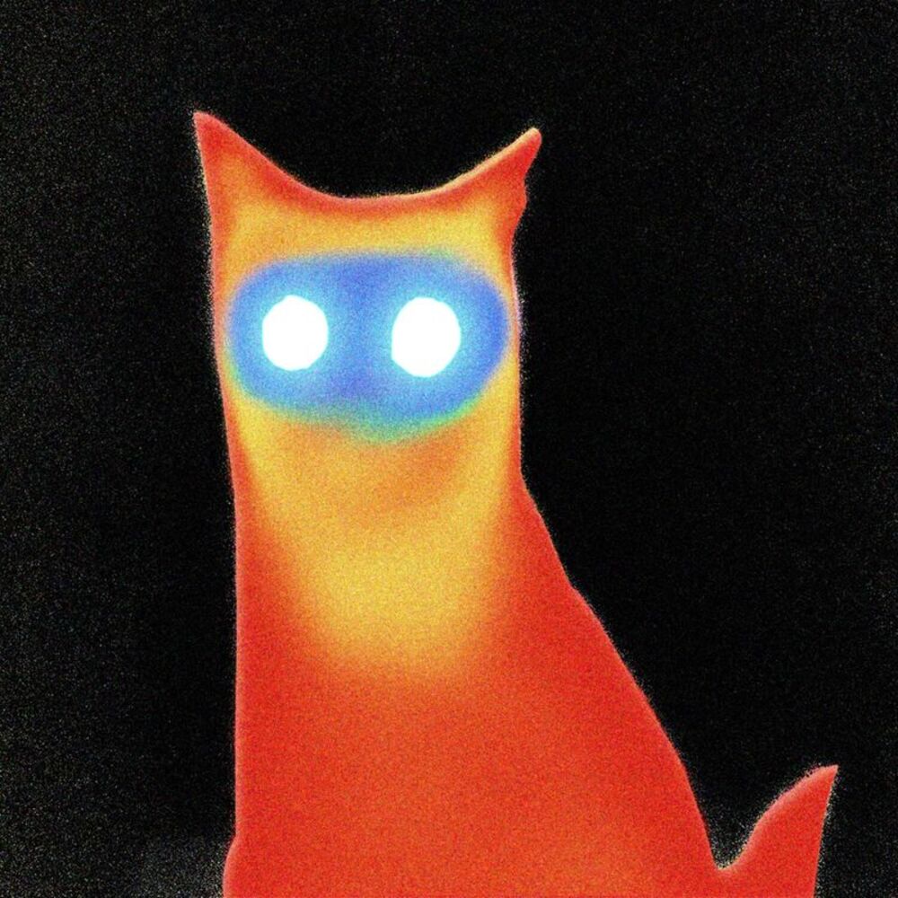 The Basement - Wired  LP LP